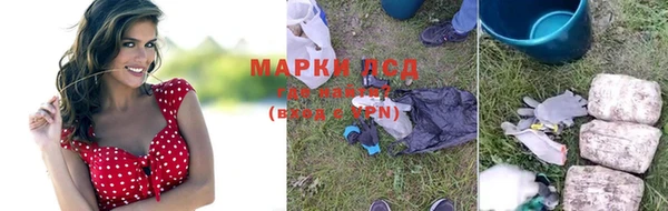 эйфоретик Магас