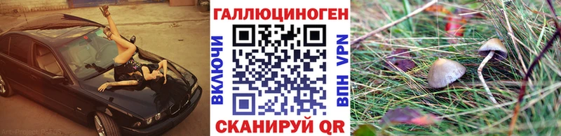Купить закладки  Жуковка  Псилоцибиновые грибы прущие грибы 